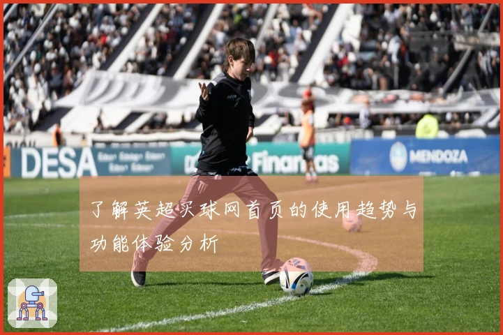 了解英超买球网首页的使用趋势与功能体验分析