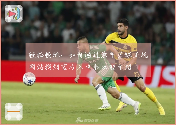 轻松畅玩，如何通过意甲买球正规网站找到官方入口和功能介绍