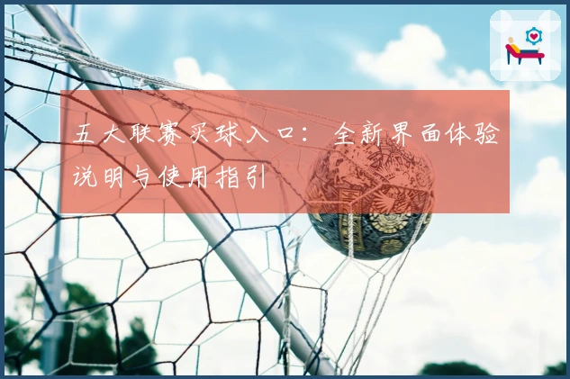 五大联赛买球入口：全新界面体验说明与使用指引