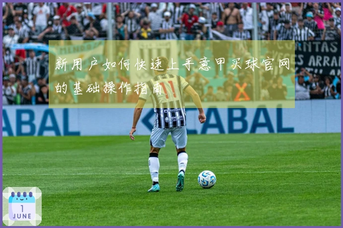 新用户如何快速上手意甲买球官网的基础操作指南