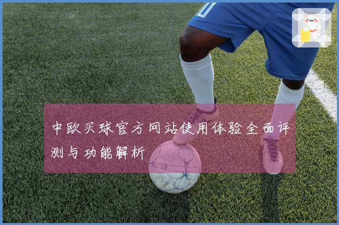 中欧买球官方网站使用体验全面评测与功能解析