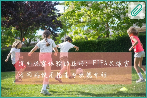 提升观赛体验的技巧：FIFA买球官方网站使用指南与功能介绍