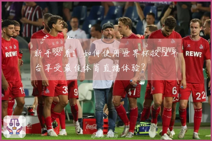 新手必看：如何使用世界杯投注平台享受最佳体育直播体验？