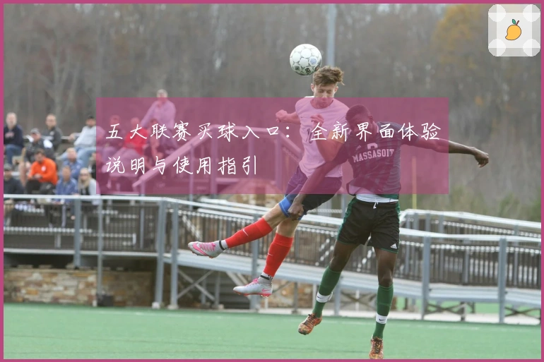 五大联赛买球入口：全新界面体验说明与使用指引