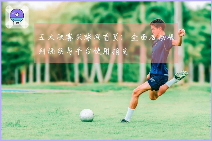 五大联赛买球网首页：全面活动福利说明与平台使用指南