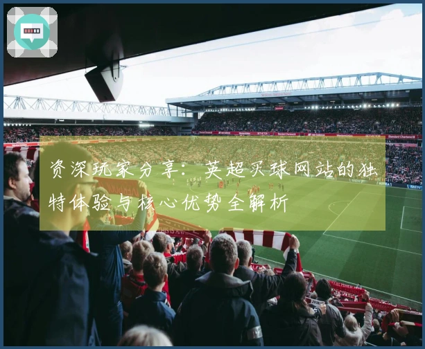 资深玩家分享：英超买球网站的独特体验与核心优势全解析