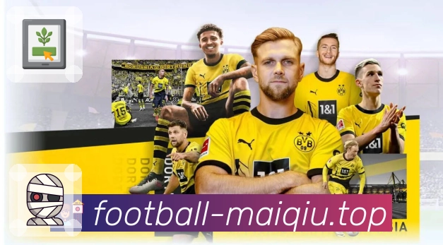 买球全站入口合集App下载